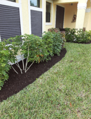 frontyard_job_300x391